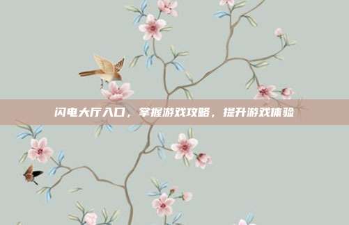 闪电大厅入口，掌握游戏攻略，提升游戏体验