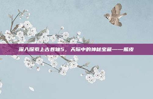 深入探索上古卷轴5,天际中的神秘宝藏——熊皮