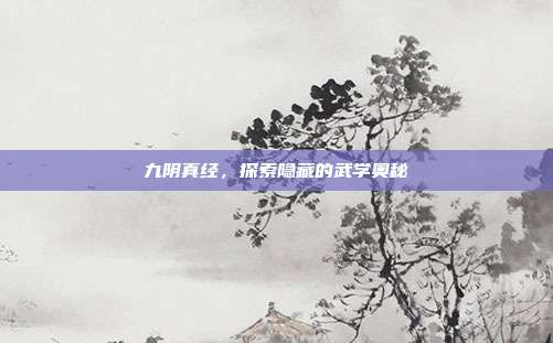 九阴真经,探索隐藏的武学奥秘