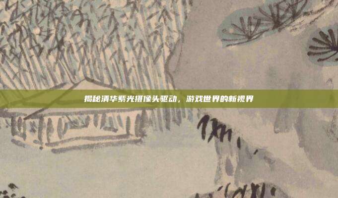 揭秘清华紫光摄像头驱动,游戏世界的新视界