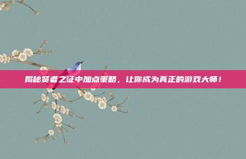 揭秘贤者之证中加点策略,让你成为真正的游戏大师!