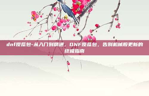 dnf傻瓜包-从入门到精通，DNF傻瓜包，告别机械般更新的终极指南