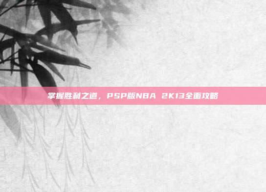 掌握胜利之道,PSP版NBA 2K13全面攻略