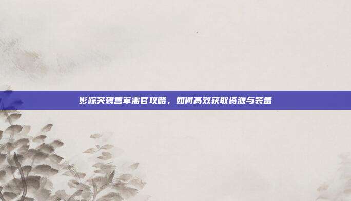 影踪突袭营军需官攻略,如何高效获取资源与装备