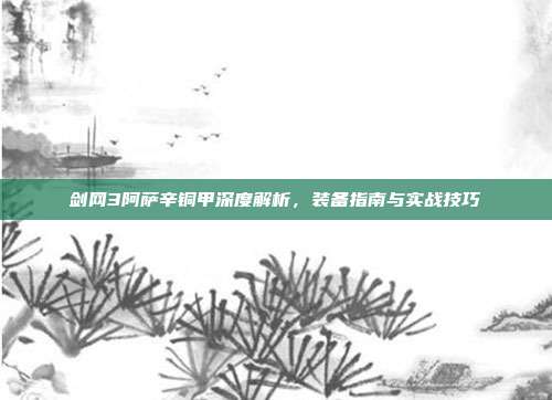 剑网3阿萨辛铜甲深度解析,装备指南与实战技巧