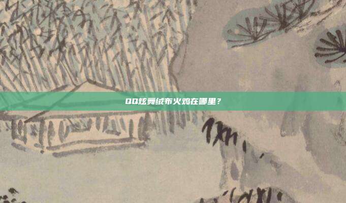 QQ炫舞绒布火鸡在哪里?