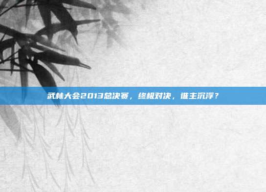 武林大会2013总决赛，终极对决，谁主沉浮？