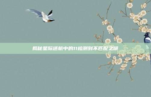 揭秘星际迷航中的11检测到不匹配之谜