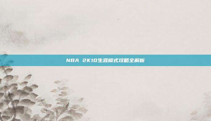 NBA 2K10生涯模式攻略全解析