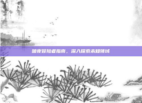 暗夜冒险者指南,深入探索未知领域