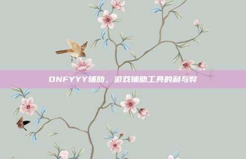 DNFYYY辅助，游戏辅助工具的利与弊