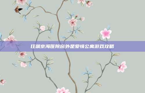 狂飙京海医院窗外是爱情公寓游戏攻略