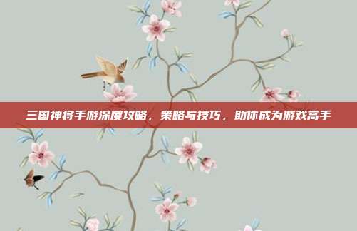 三国神将手游深度攻略,策略与技巧,助你成为游戏高手