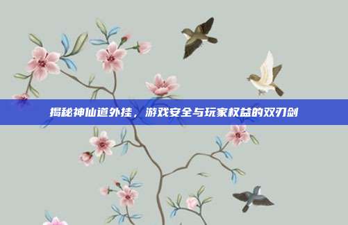 揭秘神仙道外挂,游戏安全与玩家权益的双刃剑