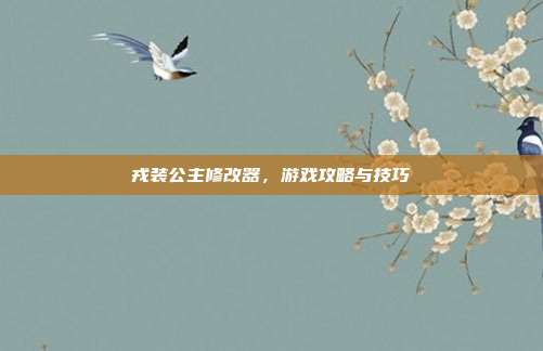 戎装公主修改器,游戏攻略与技巧