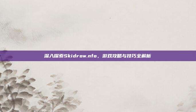 深入探索Skidrow.nfo,游戏攻略与技巧全解析