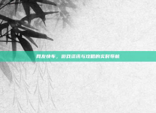网友快车，游戏资讯与攻略的实时导航