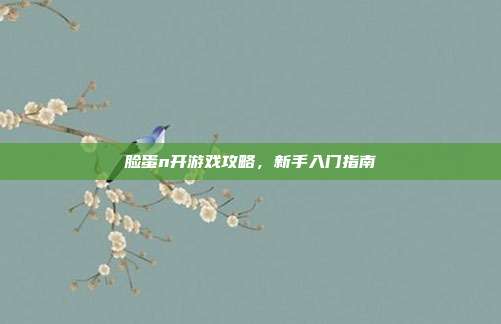 脸蛋n开游戏攻略,新手入门指南
