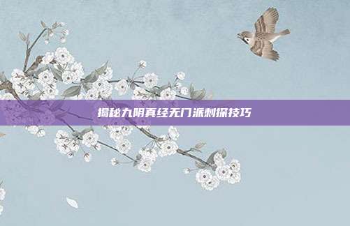 揭秘九阴真经无门派刺探技巧