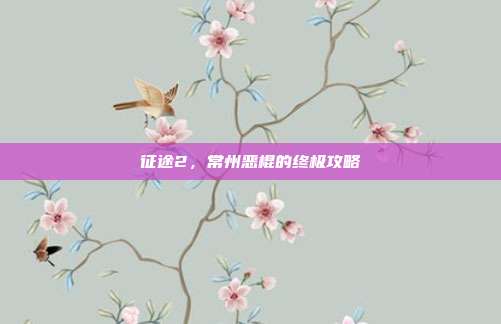 征途2，常州恶棍的终极攻略