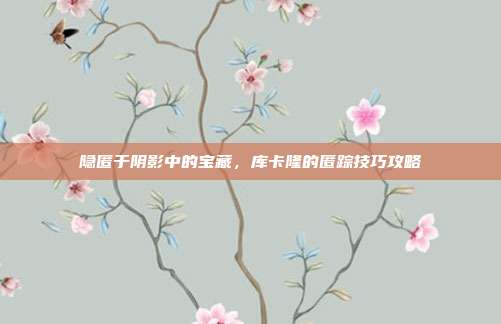 隐匿于阴影中的宝藏,库卡隆的匿踪技巧攻略