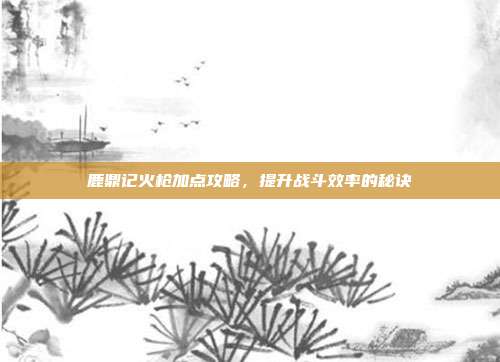 鹿鼎记火枪加点攻略,提升战斗效率的秘诀
