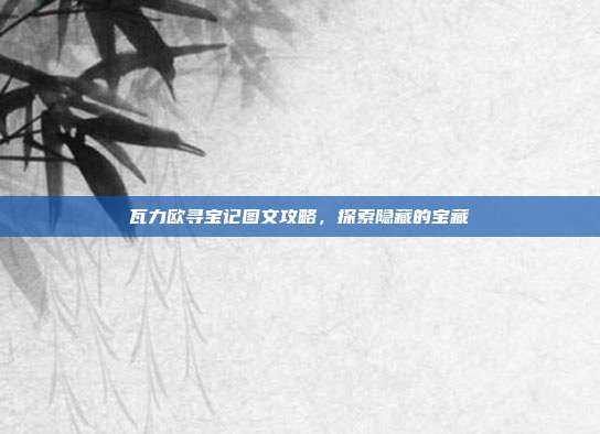 瓦力欧寻宝记图文攻略，探索隐藏的宝藏