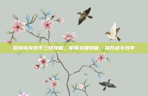 冒险岛火炮手三转攻略,掌握关键技能,提升战斗效率