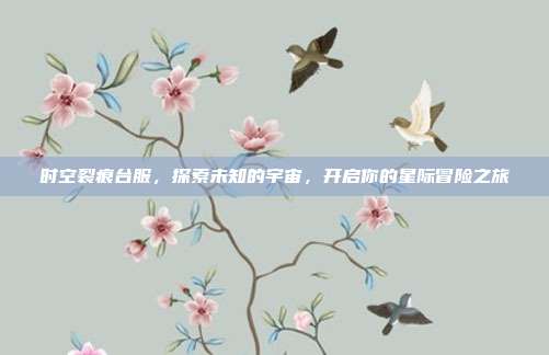 时空裂痕台服，探索未知的宇宙，开启你的星际冒险之旅