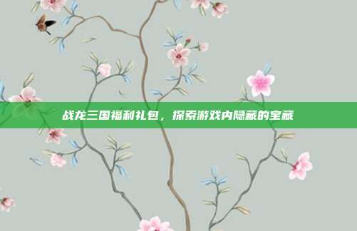战龙三国福利礼包,探索游戏内隐藏的宝藏