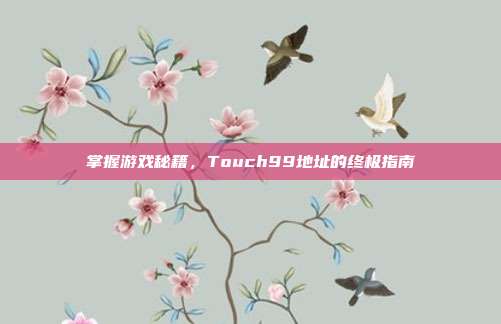 掌握游戏秘籍,Touch99地址的终极指南