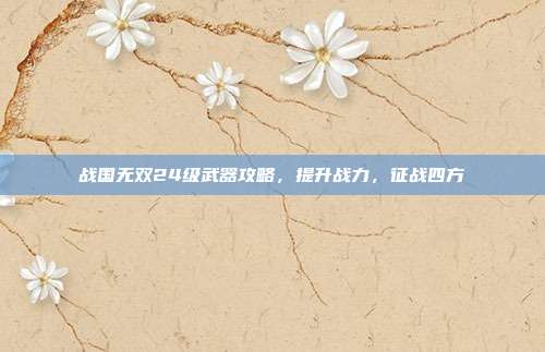 战国无双24级武器攻略,提升战力,征战四方