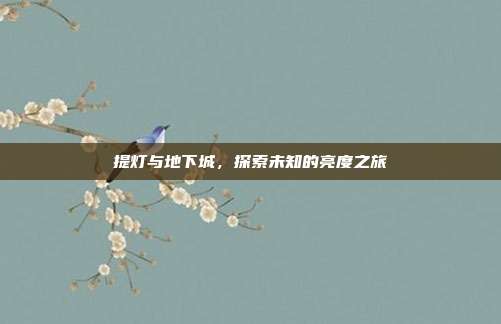 提灯与地下城,探索未知的亮度之旅