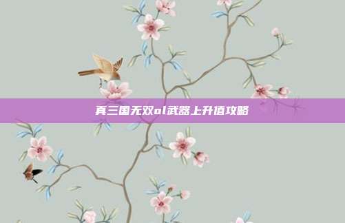 真三国无双ol武器上升值攻略