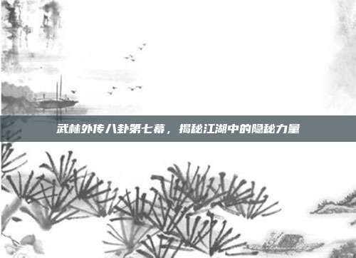 武林外传八卦第七幕,揭秘江湖中的隐秘力量