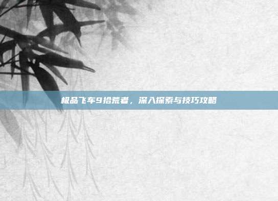 极品飞车9拾荒者，深入探索与技巧攻略