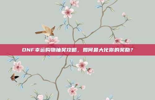 DNF幸运购物抽奖攻略,如何最大化你的奖励?