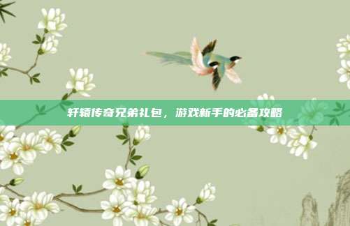 轩辕传奇兄弟礼包,游戏新手的必备攻略