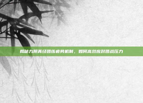 揭秘九阴真经团练疲劳机制,如何高效应对团战压力