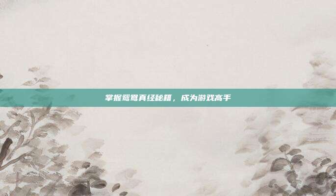 掌握鸳鸯真经秘籍,成为游戏高手