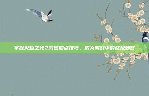 掌握火炬之光2刺客加点技巧,成为游戏中的终极刺客