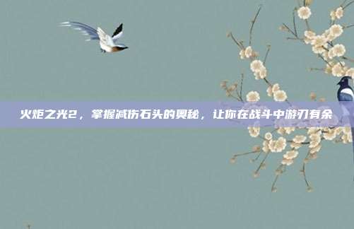 火炬之光2,掌握减伤石头的奥秘,让你在战斗中游刃有余