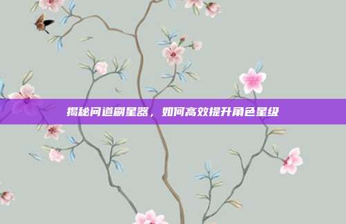 揭秘问道刷星器,如何高效提升角色星级