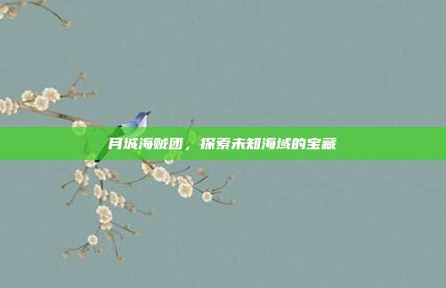月城海贼团,探索未知海域的宝藏