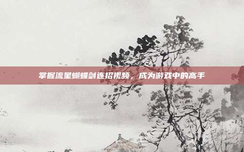 掌握流星蝴蝶剑连招视频,成为游戏中的高手