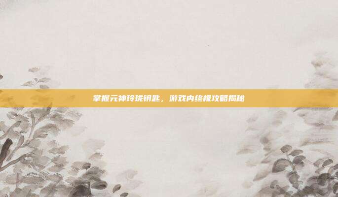掌握元神玲珑钥匙,游戏内终极攻略揭秘