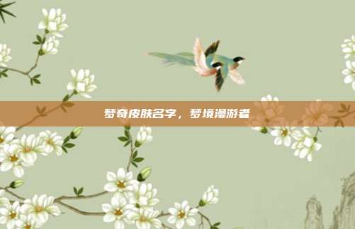 梦奇皮肤名字,梦境漫游者