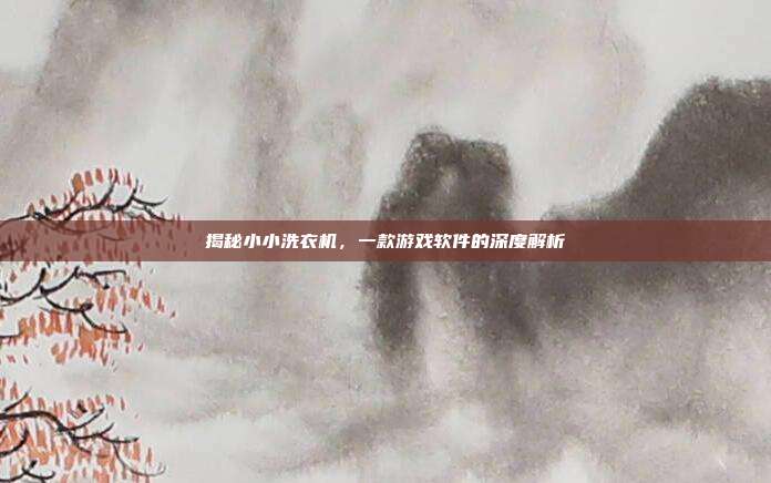 揭秘小小洗衣机,一款游戏软件的深度解析