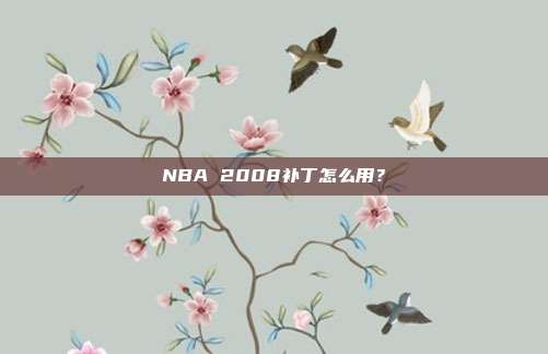 NBA 2008补丁怎么用?