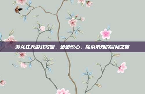 御龙在天游戏攻略，步步惊心，探索未知的冒险之旅